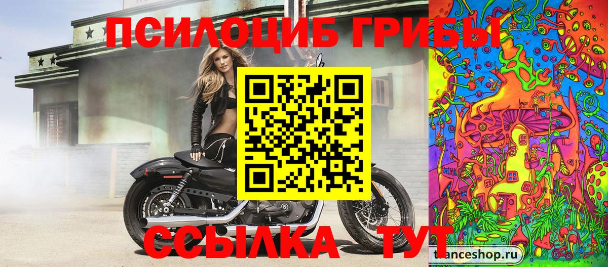 Хабаровск  Псилоцибиновые грибы мицелий  Вход с VPN 